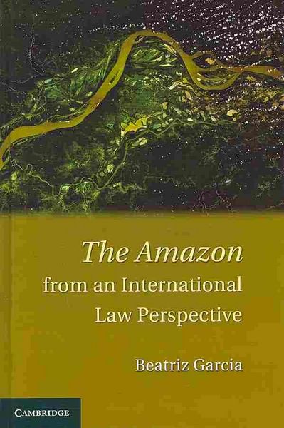 Produktbild: The Amazon from an International Law Perspective