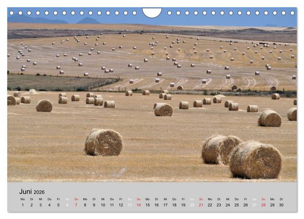 Produktbild: Momente in S&uuml;dafrika (Wandkalender 2026 DIN A4 quer), CALVENDO Monatskalender