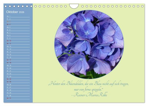 Produktbild: Flora in royalem Blau (Wandkalender 2026 DIN A4 quer), CALVENDO Monatskalender