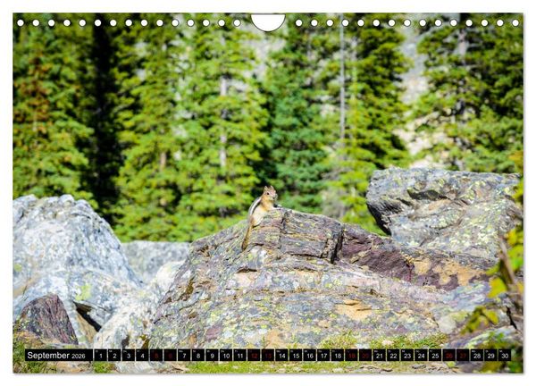 Produktbild: Kanadas Rocky Mountains (Wandkalender 2026 DIN A4 quer), CALVENDO Monatskalender