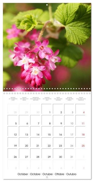 Produktbild: Arbres et arbustes la floraison (Calendrier mural carr&eacute; 2026 30x30 cm) Calendrier double avec une page pour vos prises de notes
