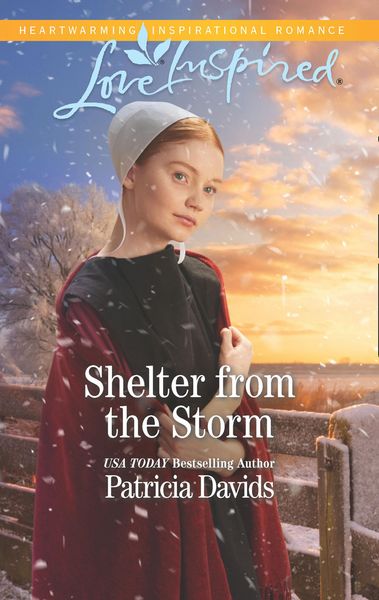 Produktbild: Shelter From The Storm