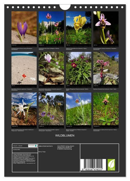 Produktbild: WILDBLUMEN (Wandkalender 2026 DIN A4 hoch), CALVENDO Monatskalender
