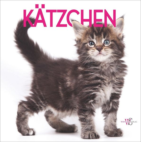 Produktbild: K&auml;tzchen