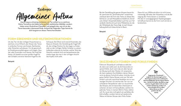 Produktbild: Tiere zeichnen &ndash; Das XXL-Starter-Set: Zwei B&uuml;cher im Bundle