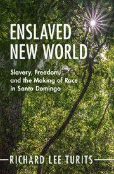 Produktbild: Enslaved New World