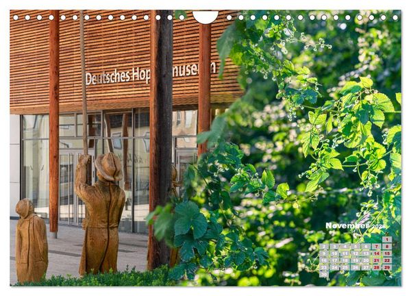Produktbild: Hopfenland Holledau (Wandkalender 2026 DIN A4 quer), CALVENDO Monatskalender