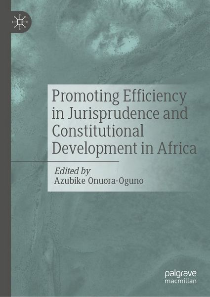 Produktbild: Promoting Efficiency in Jurisprudence and Constitutional Development in Africa