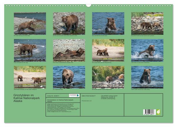 Produktbild: Grizzlyb&auml;ren im Katmai Nationalpark Alaska (Wandkalender 2026 DIN A2 quer), CALVENDO Monatskalender