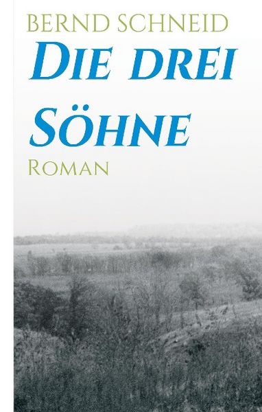 Produktbild: Die drei S&ouml;hne