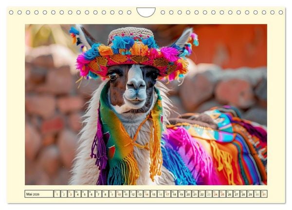 Produktbild: Lamas auf Tour. Perus flauschige Fashion-Ikonen (Wandkalender 2026 DIN A4 quer), CALVENDO Monatskalender