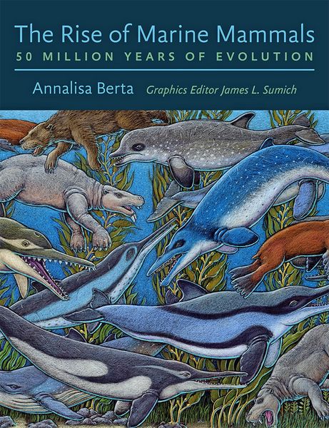 Produktbild: Rise of Marine Mammals