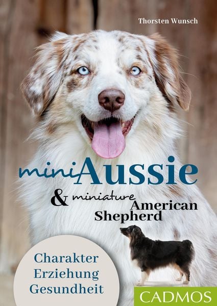 Produktbild: Mini Aussie und Miniature American Shepherd