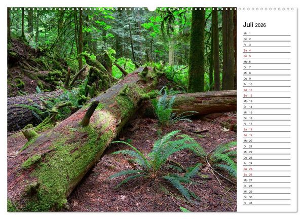 Produktbild: Vancouver Island - Perle im Kanadischen Westen (hochwertiger Premium Wandkalender 2026 DIN A2 quer), Kunstdruck in Hochglanz