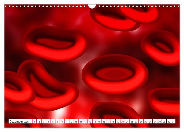 Produktbild: Mikrobiologie. Mikroorganismen, Genetik und Zellen (Wandkalender 2026 DIN A3 quer), CALVENDO Monatskalender
