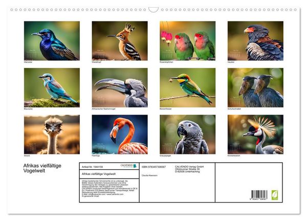 Produktbild: Afrikas vielf&auml;ltige Vogelwelt (Wandkalender 2026 DIN A2 quer), CALVENDO Monatskalender