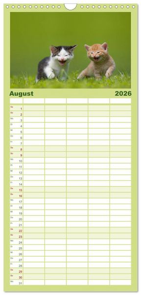 Produktbild: Familienplaner 2026 - L&auml;chelnd durchs Jahr - Katzenkinder -Familienplaner hoch mit 5 Spalten (Wandkalender, 21 x 45 cm) CALVENDO