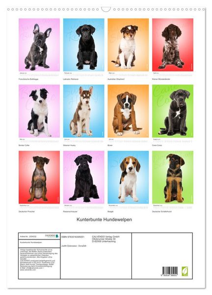 Produktbild: Kunterbunte Hundewelpen (Wandkalender 2026 DIN A2 hoch), CALVENDO Monatskalender
