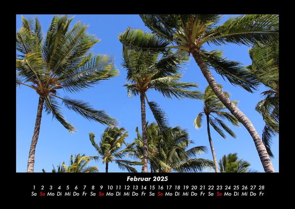 Produktbild: Palmentraum 2025 Fotokalender DIN A3