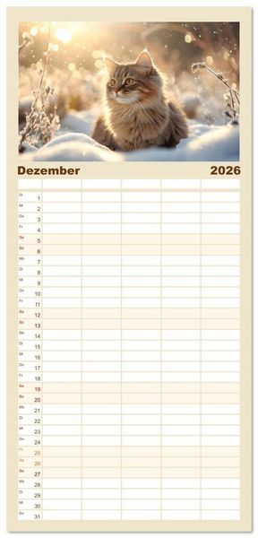 Produktbild: Familienplaner 2026 - Katzen - sanfte Sch&ouml;nheiten mit 5 Spalten (Wandkalender, 21 x 45 cm) CALVENDO