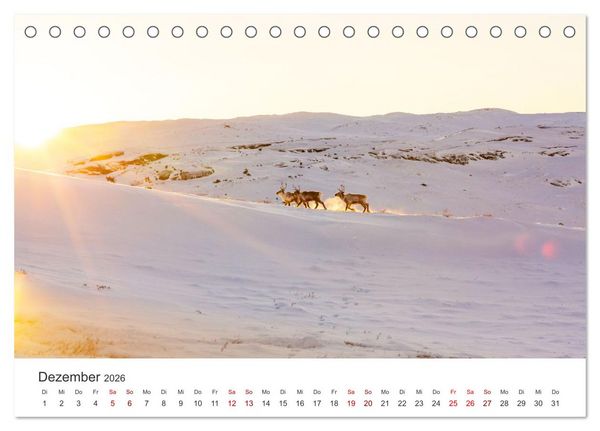 Produktbild: Zwischen den Eisbergen in Gr&ouml;nland (Tischkalender 2026 DIN A5 quer), CALVENDO Monatskalender