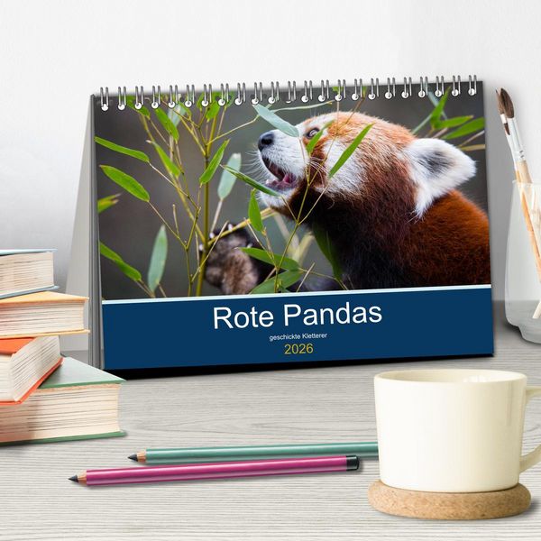 Produktbild: Rote Pandas - geschickte Kletterer (Tischkalender 2026 DIN A5 quer), CALVENDO Monatskalender