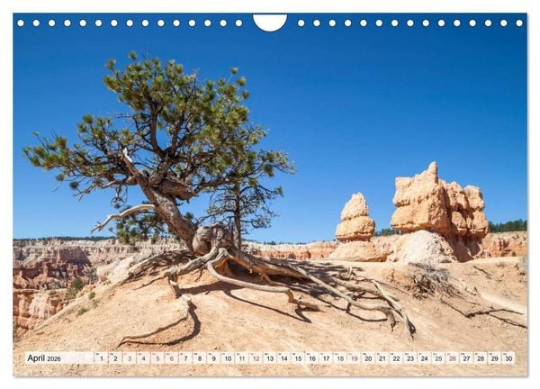 Produktbild: ARIZONA UND UTAH Ein einzigartiges Erlebnis (Wandkalender 2026 DIN A4 quer), CALVENDO Monatskalender