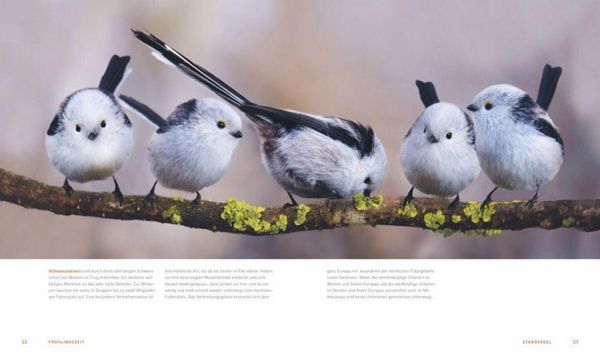 Produktbild: Ein Garten voller V&ouml;gel