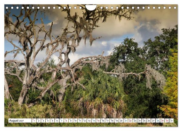 Produktbild: Sunshine State Florida Nature, Wildlife, National Parks (Wall Calendar 2027 DIN A4 landscape), CALVENDO 12 Month Wall Calendar