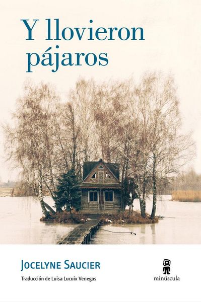 Produktbild: Y llovieron pájaros