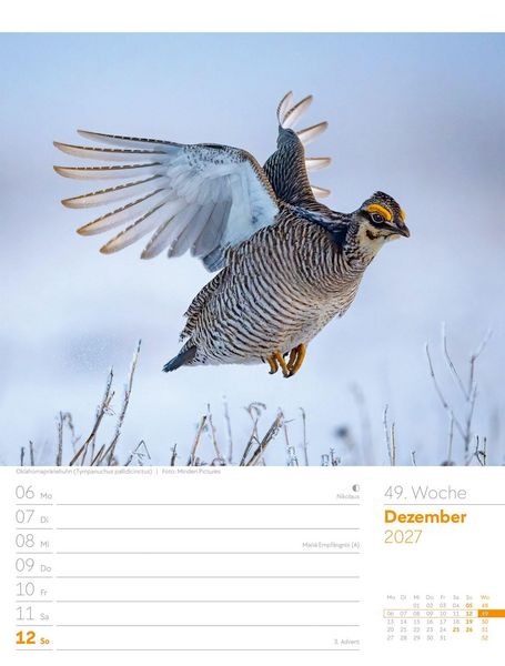 Produktbild: V&ouml;gel Wochenplaner Kalender 2027