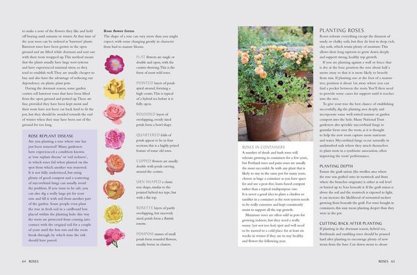 Produktbild: National Trust School of Gardening