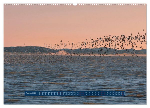 Produktbild: Ein Tag am Meer - Impressionen von der Insel Sylt (hochwertiger Premium Wandkalender 2026 DIN A2 quer), Kunstdruck in Hochglanz