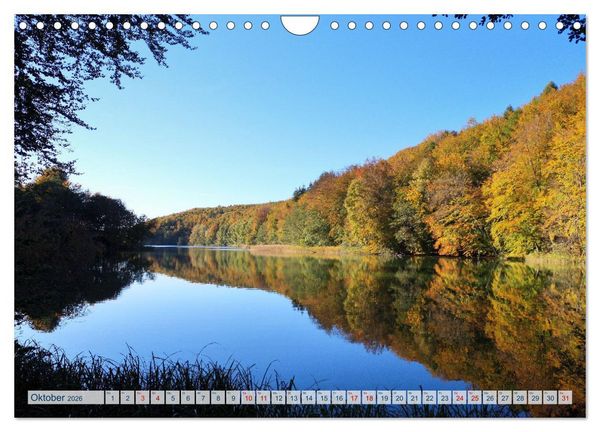 Produktbild: Magisches Ostholstein (Wandkalender 2026 DIN A4 quer), CALVENDO Monatskalender