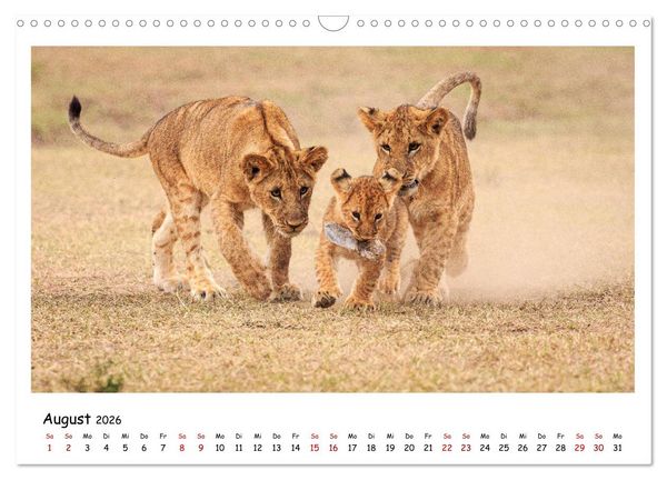 Produktbild: Tierparadies Kenia (Wandkalender 2026 DIN A3 quer), CALVENDO Monatskalender
