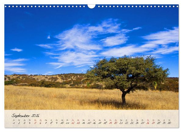 Produktbild: Mexiko - Bunte Vielfalt in Stadt und Land (Wandkalender 2026 DIN A3 quer), CALVENDO Monatskalender