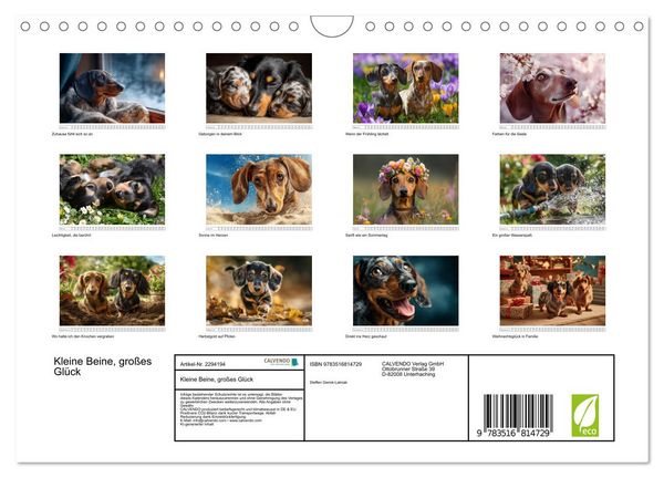 Produktbild: Kleine Beine, gro&szlig;es Gl&uuml;ck (Wandkalender 2027 DIN A4 quer), CALVENDO Monatskalender
