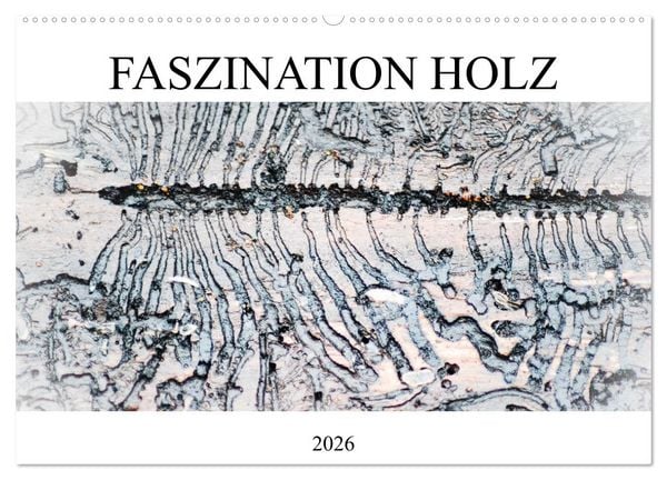 Faszination Holz (Wandkalender 2026 DIN A2 quer), CALVENDO Monatskalender