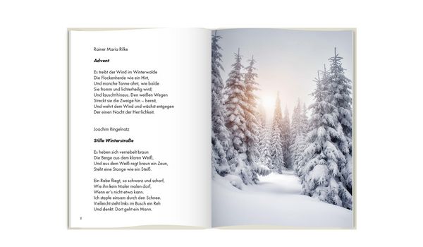 Produktbild: Stille Nacht