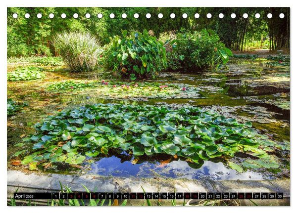 Produktbild: Botanischer Garten Palermo (Tischkalender 2026 DIN A5 quer), CALVENDO Monatskalender