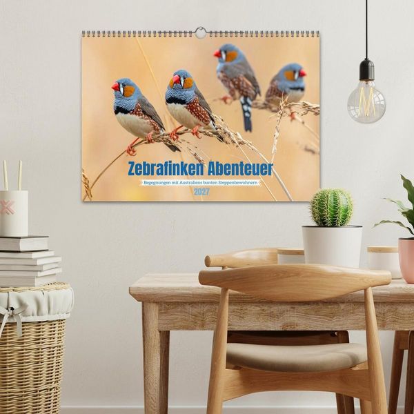 Produktbild: Zebrafinken Abenteuer (Wandkalender 2027 DIN A3 quer), CALVENDO Monatskalender