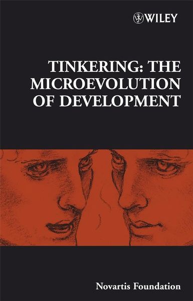 Produktbild: Tinkering