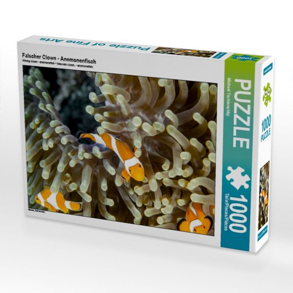 CALVENDO Puzzle Falscher Clown - Anemonenfisch | 1000 Teile Lege-Größe 64 × 48 cm Foto-Puzzle für glückliche Stunden