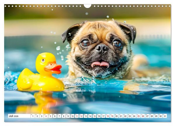 Produktbild: Mops-Mania - Der Spa&szlig;kalender f&uuml;r Mops-Fans (Wandkalender 2026 DIN A3 quer), CALVENDO Monatskalender