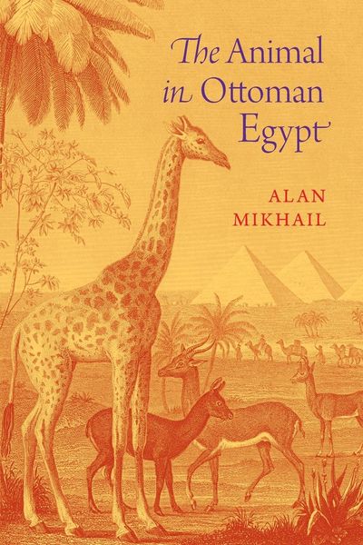 Produktbild: The Animal in Ottoman Egypt