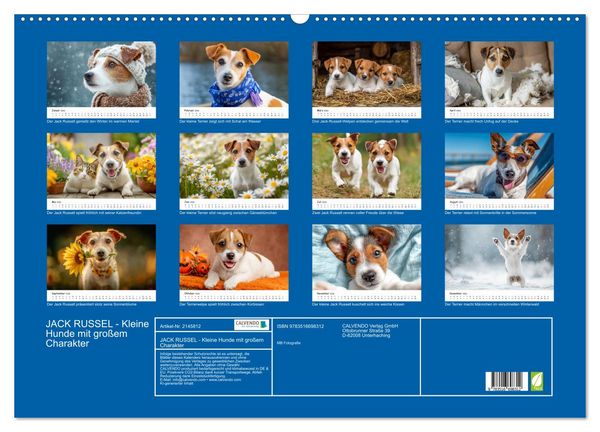 Produktbild: JACK RUSSEL - Kleine Hunde mit gro&szlig;em Charakter (Wandkalender 2026 DIN A2 quer), CALVENDO Monatskalender