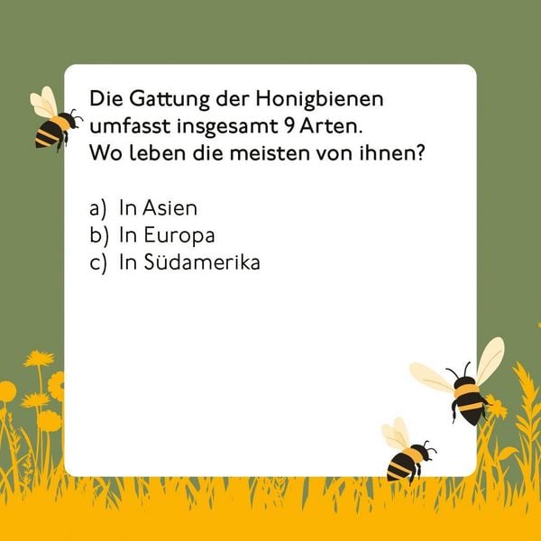 Produktbild: Bienen-Quiz
