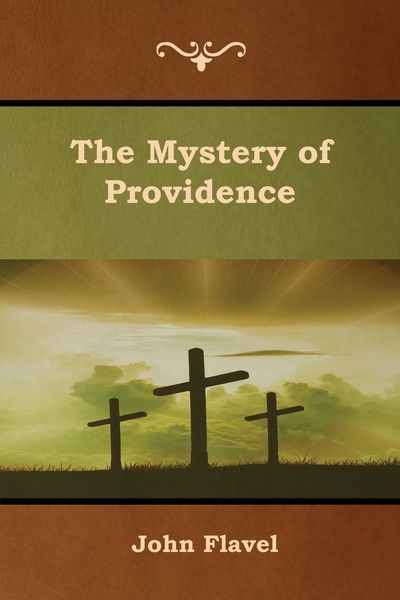 Produktbild: The Mystery of Providence
