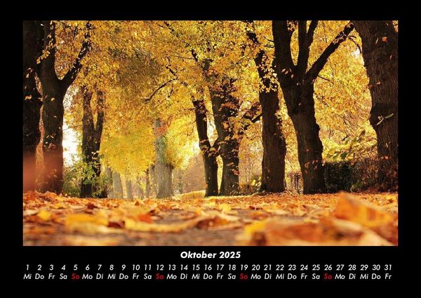 Produktbild: B&auml;ume 2025 Fotokalender DIN A3