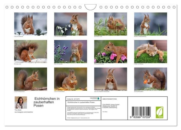 Produktbild: Eichh&ouml;rnchen in zauberhaften Posen (Wandkalender 2027 DIN A4 quer), CALVENDO Monatskalender